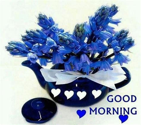 Blue Good Morning Flowers Pictures Photos And Images For Facebook