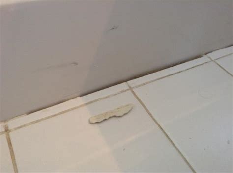 We did not find results for: Gap between the tub and the tiles - DoItYourself.com ...
