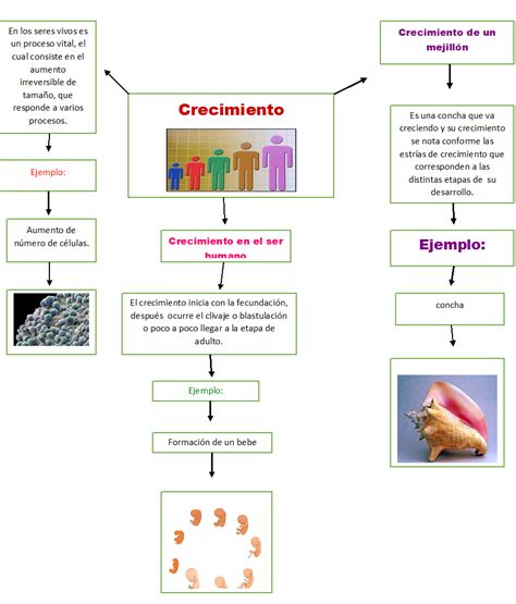 Biologia Mapa Mental 6 Crecimiento