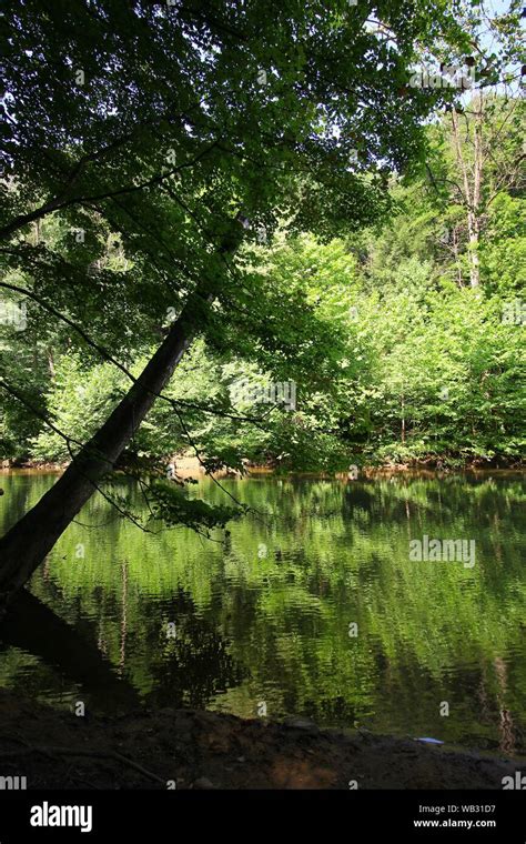 Mohican River Mohican State Park Ohio Stock Photo Alamy