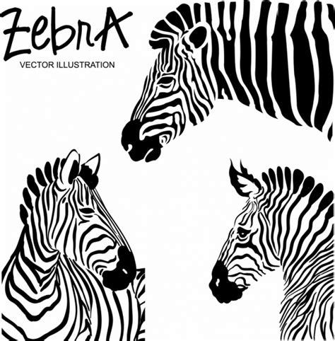 Download Zebra free vector download (209 Free vector) for ...