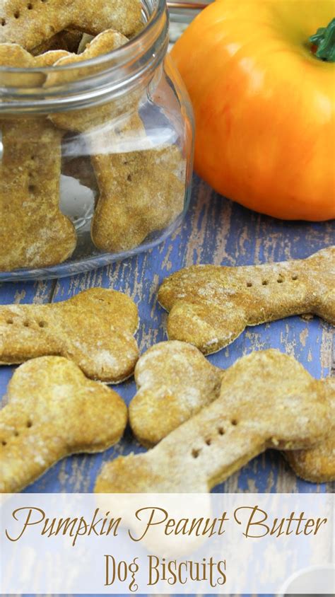 Life With 4 Boys Pumpkin Peanut Butter Homemade Dog