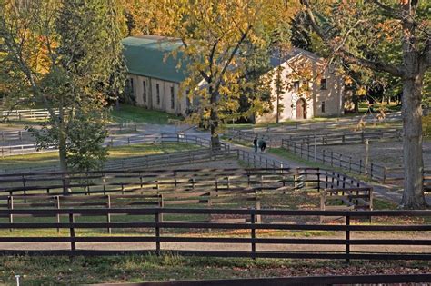 Both were beautiful and cool! Stables / Riding - Sleepy Hollow Country Club