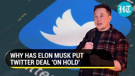‘twitter Deal On Hold’ Elon Musk S Tweet Triggers Buzz I All You Need To Know Hindustan Times