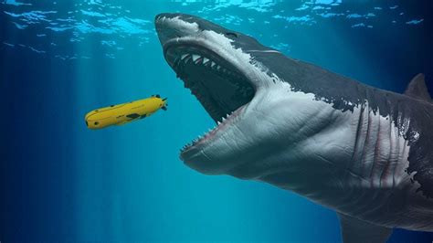 Endangered Megalodon Shark