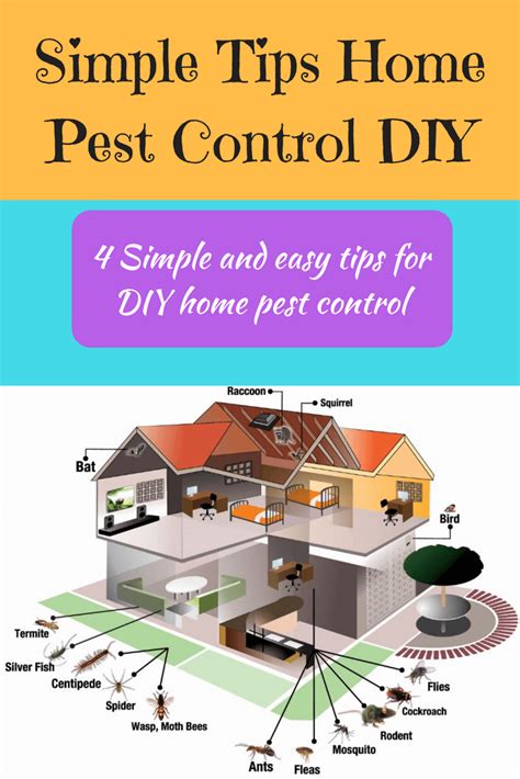 They may be seen or maximum times they can go unseen, thus invading homes with all their might. Home Pest Control DIY