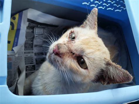 Maybe you would like to learn more about one of these? S.C.R.A.T.C.H: August 2012