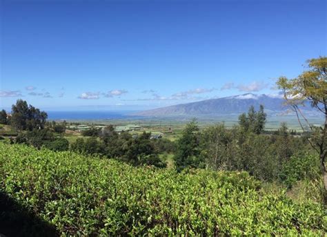 Upcountry Maui Realtor Caravan March 2017 Makawao Pu