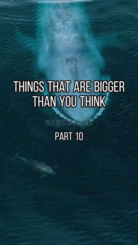 Things That Are Bigger Than You Think 🤯 Funny Facts Historical Facts
