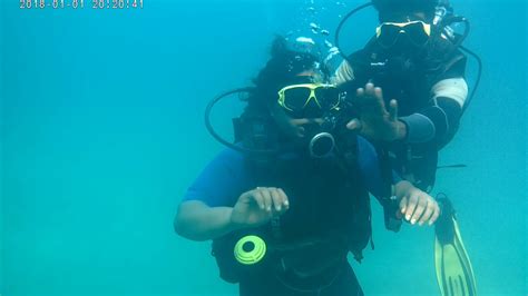 Scuba Diving Havelock Island Andaman Youtube
