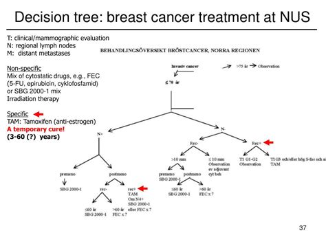 Ppt Tumor Biology Powerpoint Presentation Free Download Id1965928