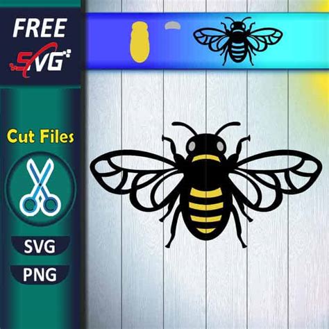 Layered Bee Svg Free Cut File For Cricut Free Svg Files