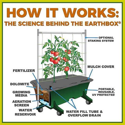 The Science Behind The Earthbox