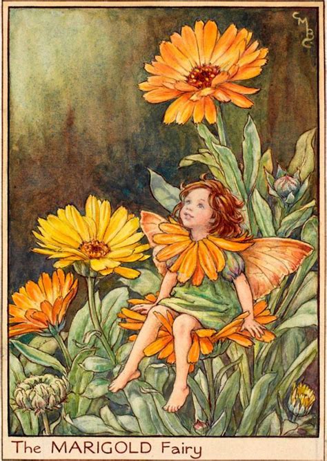 The Marigold Fairy Flower Fairies