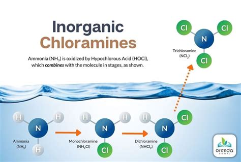 Chloramine Vs Chlorine
