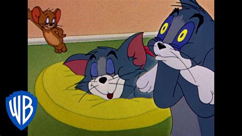 Tom Et Jerry En Français Pas De Maison Sans Le Duo Wb Kids Youtube