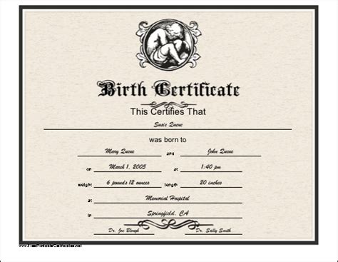 Who are the birth information providers? This printable birth certificate has an engraved look and ...