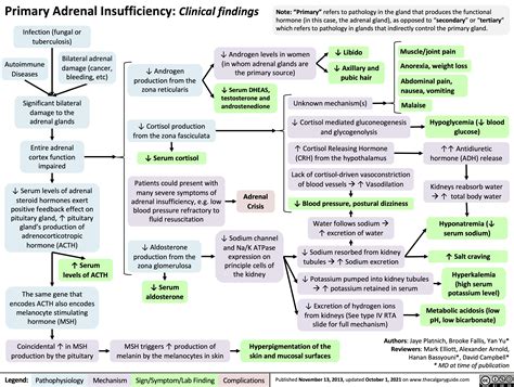 Primary Adrenal Insufficiency Clinical Findings Calgary Guide
