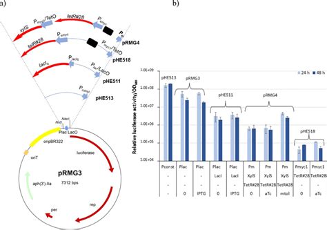 A Map Of The Plasmids Used To Test The Expression Systems The Noti And Download Scientific