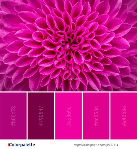 Color Palette ideas #icolorpalette #colors #inspiration #graphics #design #inspiration # ...