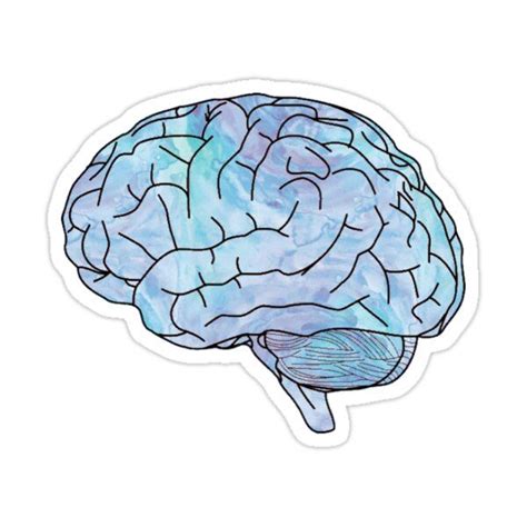 Watercolor Brain Sticker By Clairekeanna Stickers Cute Drawings