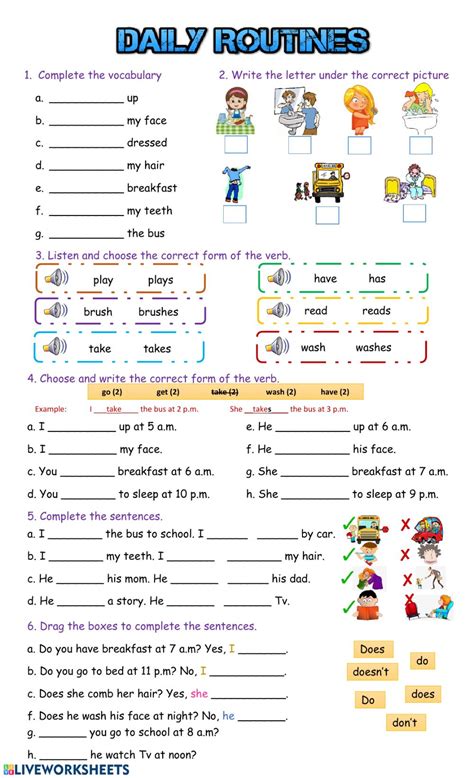 daily routines  worksheet
