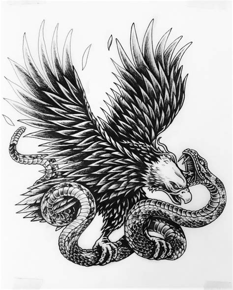 American Eagle Vs Snake T Shirt Illustration On Behance Eagle
