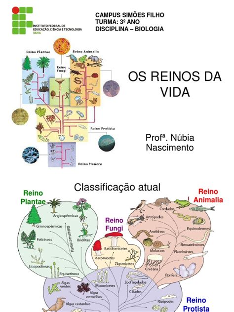 1aula 03 Evolução Dos Reinos