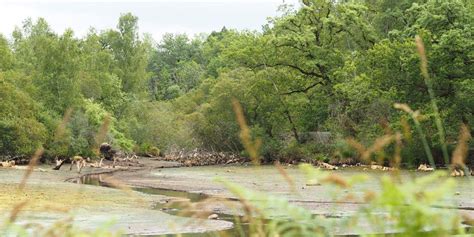 Mais la vétusté est pointée du doigt. Mont-de-Marsan Agglomération : le Grand Étang des Neuf ...