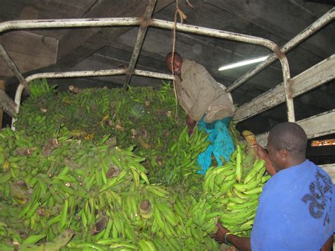 / mapishi ya ndizi samaki kwa karanga how to cook green bananas the best african food. Kariakoo Market Corporation: SAMAKI WABICHI WANAPATIKAN ...