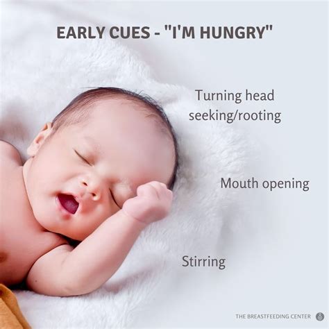 Is My Baby Hungry Infant Feeding Cues And How To Interpret Them