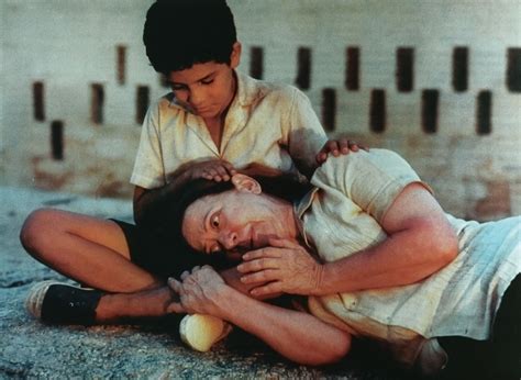 Central station movie reviews & metacritic score: The 1998 BAM Awards | The Movie Rat