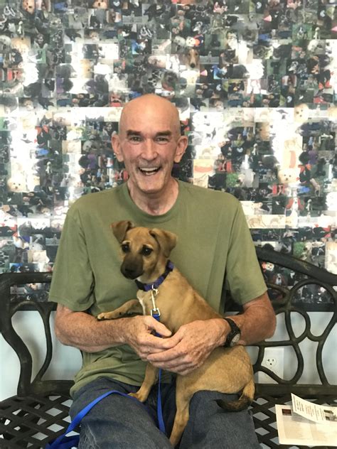 About 3% of these are interactive toys, 13% are pet beds & accessories, and 0% are catnip toys. Smalls was adopted today! | Veterinary care, Cat adoption ...