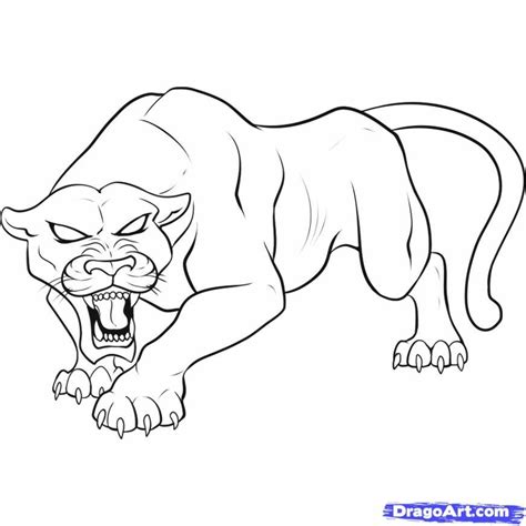Download High Quality Panther Clipart Easy Transparent Png Images Art