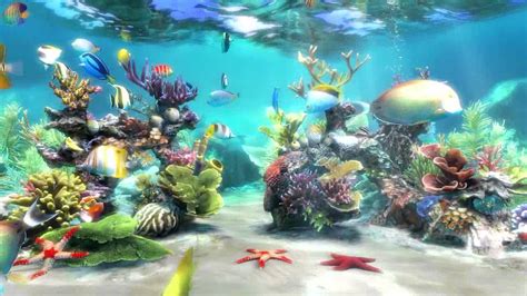 Sim Aquarium 3 Premium Retakan Terbaru Download 2022 Bagas31