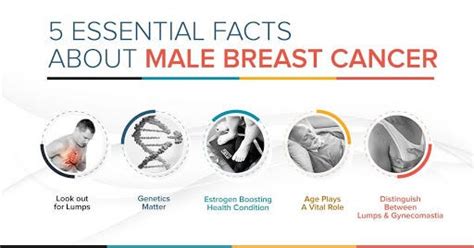 5 Essential Facts About Male Breast Cancer By Actc Health Medium
