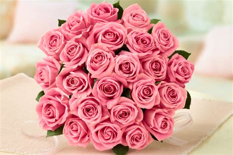 There are many shades of pink that we have not included on this page but these are some of the more. What Color Roses to Send for Valentine's Day | 1800Flowers ...