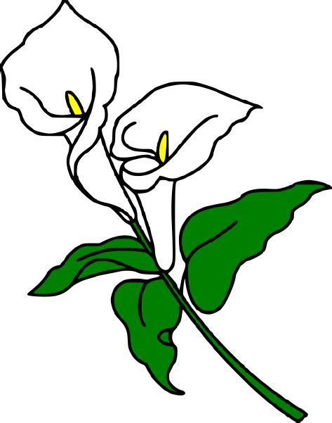 Calla Lily Clipart Flower Drawing Calla Lily Clip Art