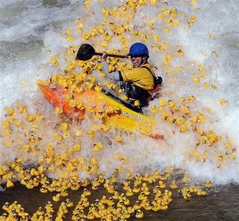 The best rafting memes and images of june 2021. Funny pictures with captions - Rafting in rubber ducks