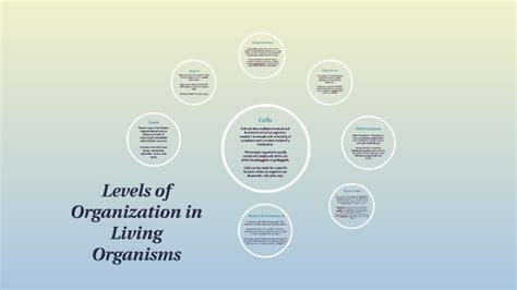 Levels Of Organization In Living Organisms By Giana Dawson