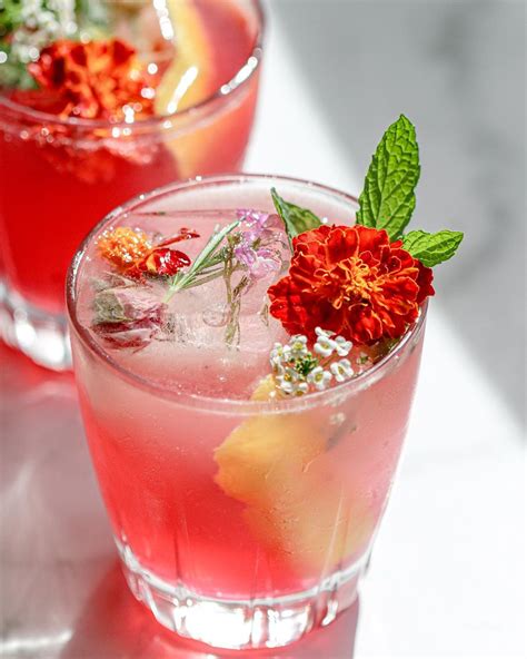 Citrus & Hibiscus Cocktail