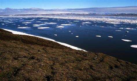 Melting Ice Of Taymyr Lake Rusyukov Taymyr Russia July Flickr