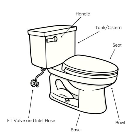 Parts Of A Toilet And How It Works A Complete Guide