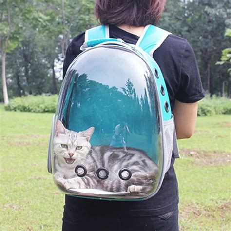 26 Hq Images Clear Plastic Cat Backpack Cat Dog Puppy Travel Bag