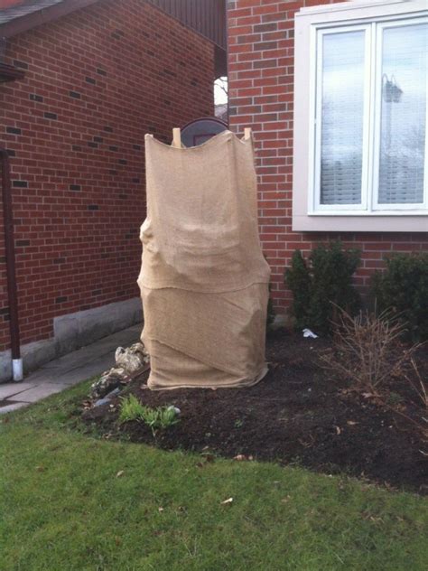 12 locations across usa, canada and mexico for fast delivery of burlap bags. Protect Japanese Maples With Burlap - Down 2 Earth Down 2 ...