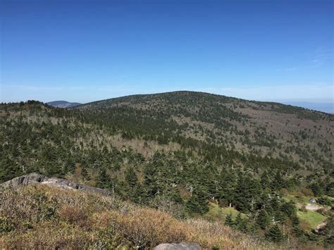 See The Tallest Peaks In Virginia At The Mount Rogers Recreation Area