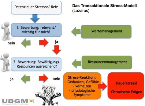 Stressmodell lazarus einfach erklärt,stressmodelle überblick,stressmodell lazarus buch,lazarus folkman 1984,definition stress lazarus,richard lazarus,stressmodell lazarus beispiel,das. Stressmanagement im Betrieb - Der Praxisleitfaden | UBGM