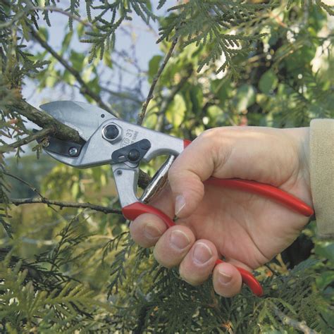 How to adjust the blades. FELCO 31 Pruning Shears / Secateurs Anvil Model Made In ...