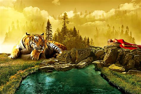 1366x768px Free Download Hd Wallpaper Landscape Tiger Animal
