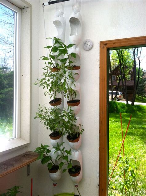 Plenty Of Basil Growing In Vertical Garden Made Out Of